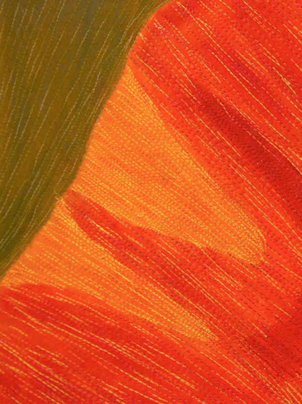 Detail - Thanks Alice