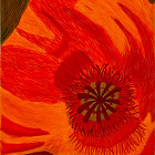 Poppy</br>22" x 33"